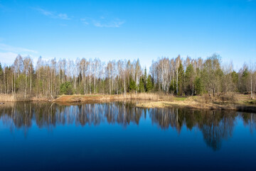 Fototapeta na wymiar A quiet early morning on a small forest lake with the reflection of trees in the blue water.