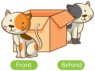 Opposite words with front and behind