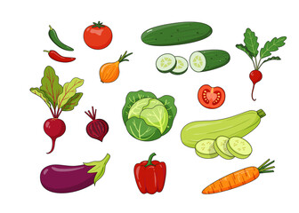 Set of seasonal hand-drawn vegetables in carton style isolated on white background. Summer harvest - cabbage, eggplant, zucchini, peppers, carrots,  radishes, cucumbers, tomatoes and onion. Vector