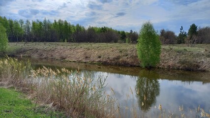 
A pond in a beautiful flattering area where birch trees grow. A great place to relax with the whole family, where you can swim and fish