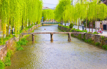 京都、白川の一本橋