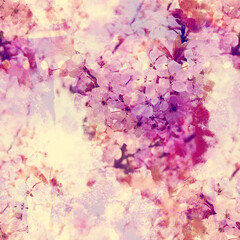 Obraz na płótnie Canvas Blooming cherry (sakura) - photo collage and watercolour texture