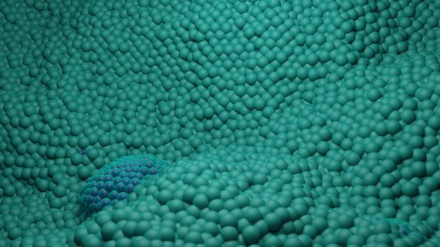 Prostate cancer is growing and attacked by t-cells - 3d render animation