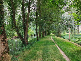 Fototapeta na wymiar Chemin le long du canal