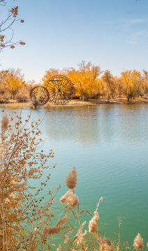 Populus euphratica forest by the lake in Xinjiang, China in autumn