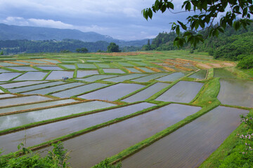 日本の棚田（山形県朝日町）