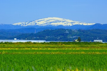 日本の春の風景（山形県寒河江市・月山）
