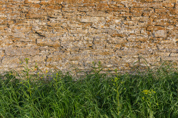 stone wall with grass