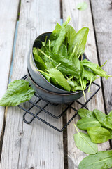 Sorrel in a saucer on a wooden board
