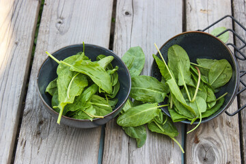 Sorrel in a saucer on a wooden board