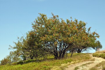 An der Wasserkuppe