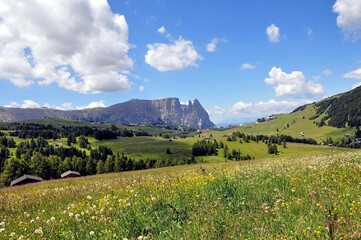 Seiseralm in den Dolomiten