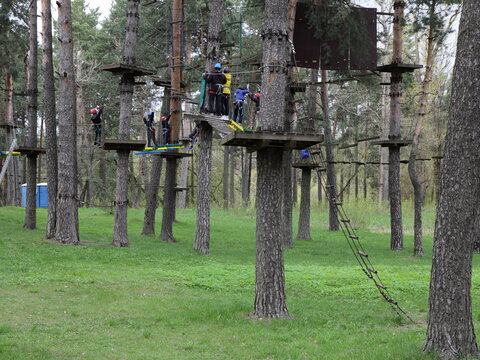 European outdoor forest rope parkwith kids at spring summer day - climbing sports active recreation