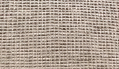 Light vintage canva texture.