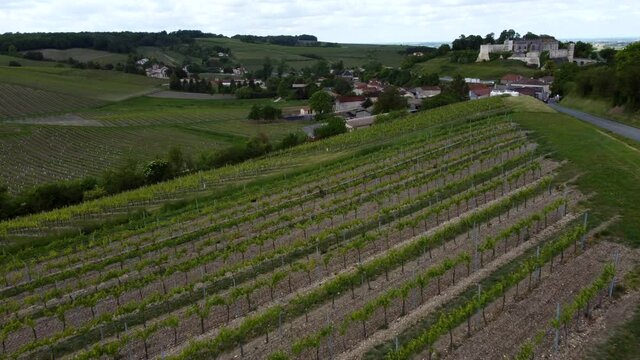 AERIAL VIEW CHARENTES, REGION OF COGNAC, VINEYARDS OF COGNAC NEAR BOUTEVILLE, REGION OF GREAT CHAMPAGNE FOR THE COGNAC APPELLATION, THE VILLAGE OF BOUTEVILLE, ITS CHATEAU AND ITS ROMAN CHURCH