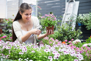 young lovely saleswoman in flower shop