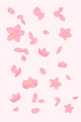 Vector background. Falling sakura  pink petals and flowers.