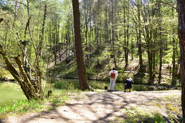 Fototapeta premium Czerwony Staw, Rezerwat Przyrody, Obszar Natura 2000, Gmina Klucze,