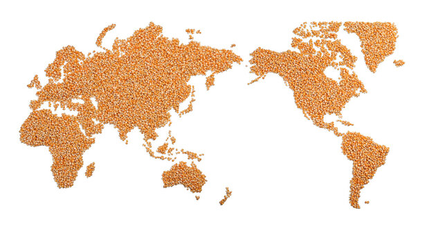 トウモロコシで描かれた世界地図