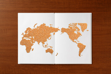 白い本の上にトウモロコシで描かれた世界地図