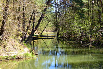 Czerwony Staw, Rezerwat Przyrody, Obszar Natura 2000, Gmina Klucze,