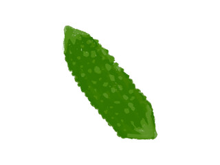 夏の野菜イラスト　ゴーヤ