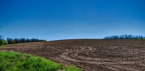 landscape with a field