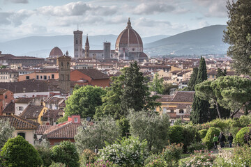 Fototapeta na wymiar Special view of Florence from the garden of roses during the spring season