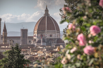 Fototapeta na wymiar Special view of Florence from the garden of roses during the spring season