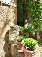 Provence, balade dans Lacoste