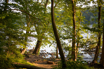 Potomac River Sunrise Morning