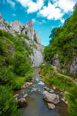 Fototapeta na wymiar Cheile turzii canyon mountains with river crossing 