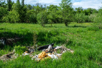 various things thrown in nature