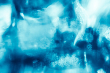 Fototapeta na wymiar Abstract blurred colourful background.