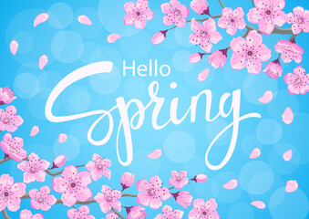 hello spring background with cherry blossoms flowers branches on blue backdrop with bokeh © VecTerrain