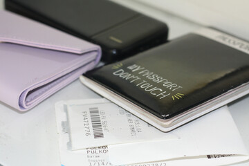 PASSPORT WALLET CHARGING TICKETS AND MONEY - ALL YOU NEED FOR TRAVELING