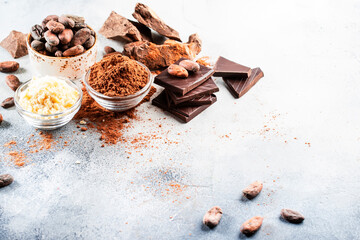 Various organic cocoa products: beans, powder, butter, dark chocolate, grated cocoa on gray table background