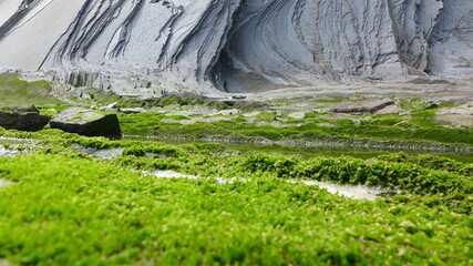 Flysch