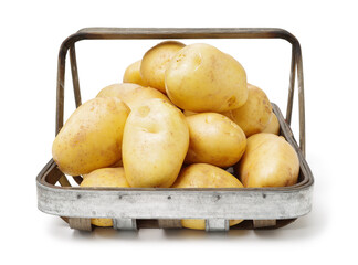 potato on a white background