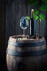 Dark grapes and red wine on a wooden barrel.