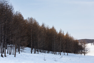 Baikal Lake in winner, Russia