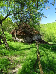 house in the forest