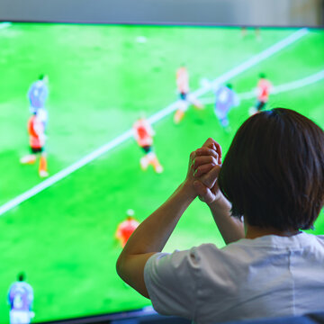 Japanese middle aged woman watching TV program