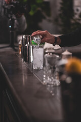 ristorante bar cocktail food glass strainer bartender barman bicchiere alcolico aperitivo - Luca Baldereschi