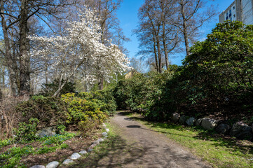 Obraz premium Spring atmosphere in city park Abackarna in Norrkoping. Norrkoping is a historic industrial town in Sweden.