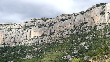 rocky mountain views