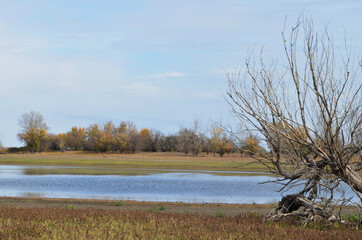 lake in the autumn
