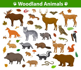 Woodland forest animals  collection including deer, bear, owl, wild boar, lynx, squirrel, woodpecker, badger, beaver, skunk, hedgehog