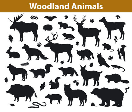 Woodland forest animals silhouettes collection including deer, bear, owl, wild boar, lynx, squirrel, woodpecker, badger, beaver, skunk, hedgehog