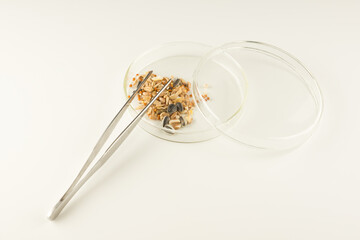 glass scientific bowl with plant seeds
